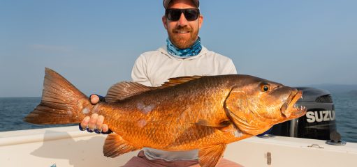 BAHIA FC-36